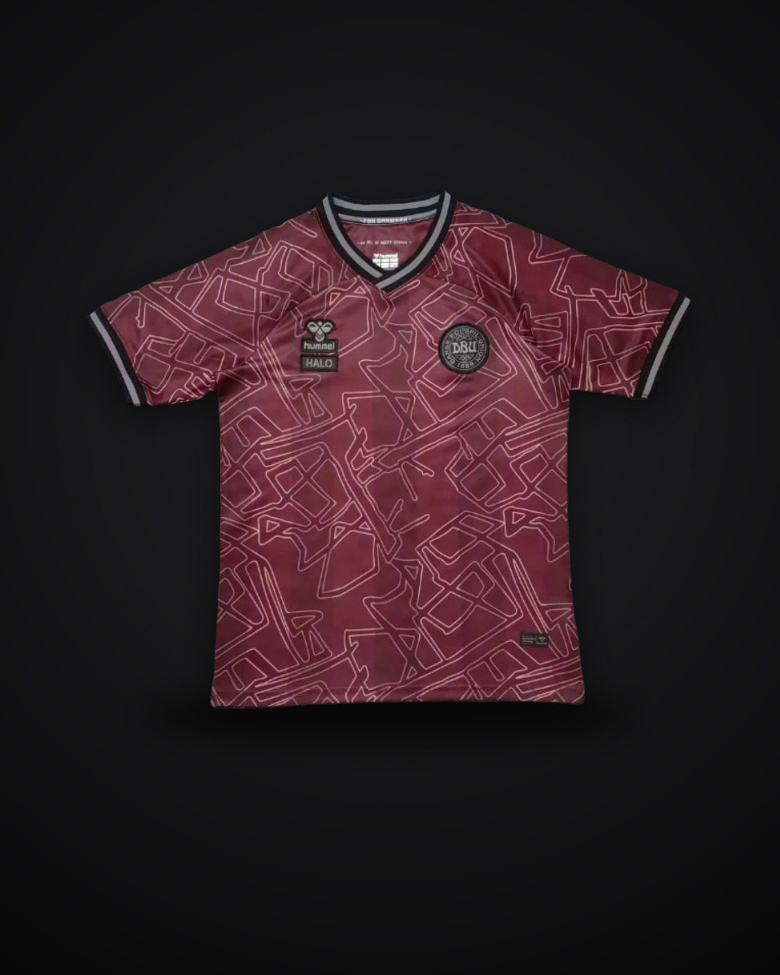 2024/2025 Denmark National Team Special Edition