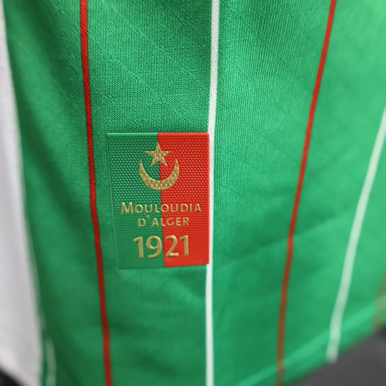 2025/2026 Player Version Palestine Special Edition Green
