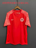 2022 FIFA World Cup Canada National Home