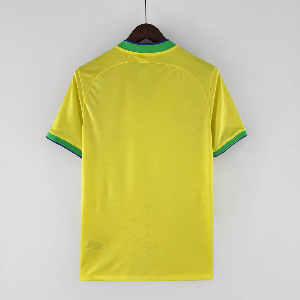 2022 World Cup Brazil Home