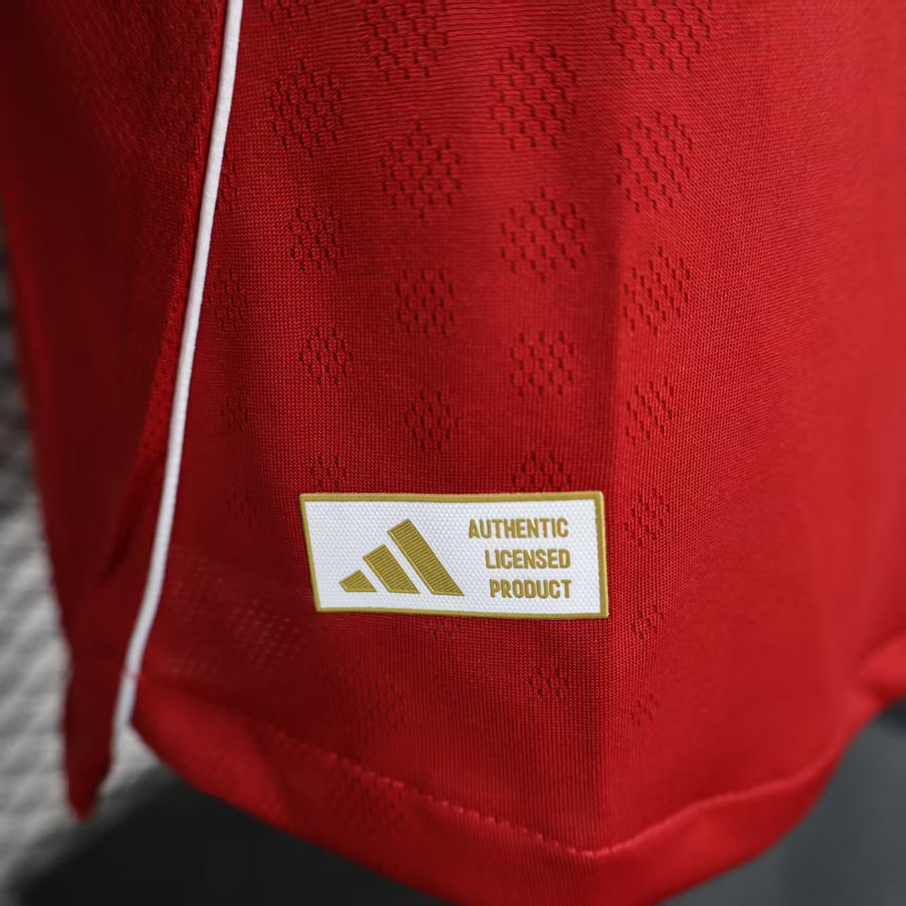 2025/2026 Long Sleeve Liverpool Home Player Version