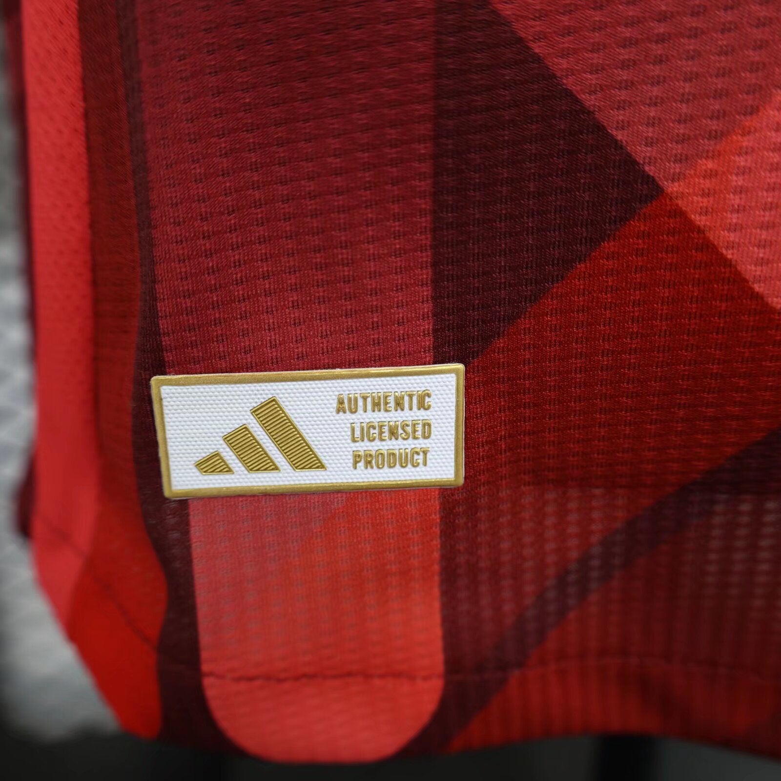 2024 Player Version Germany Special Edition Red