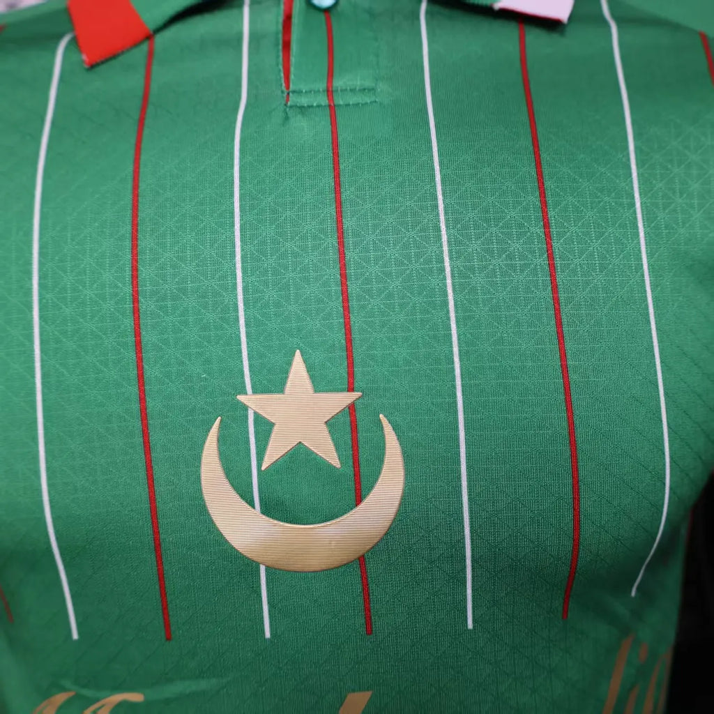 2025/2026 Player Version Palestine Special Edition Green