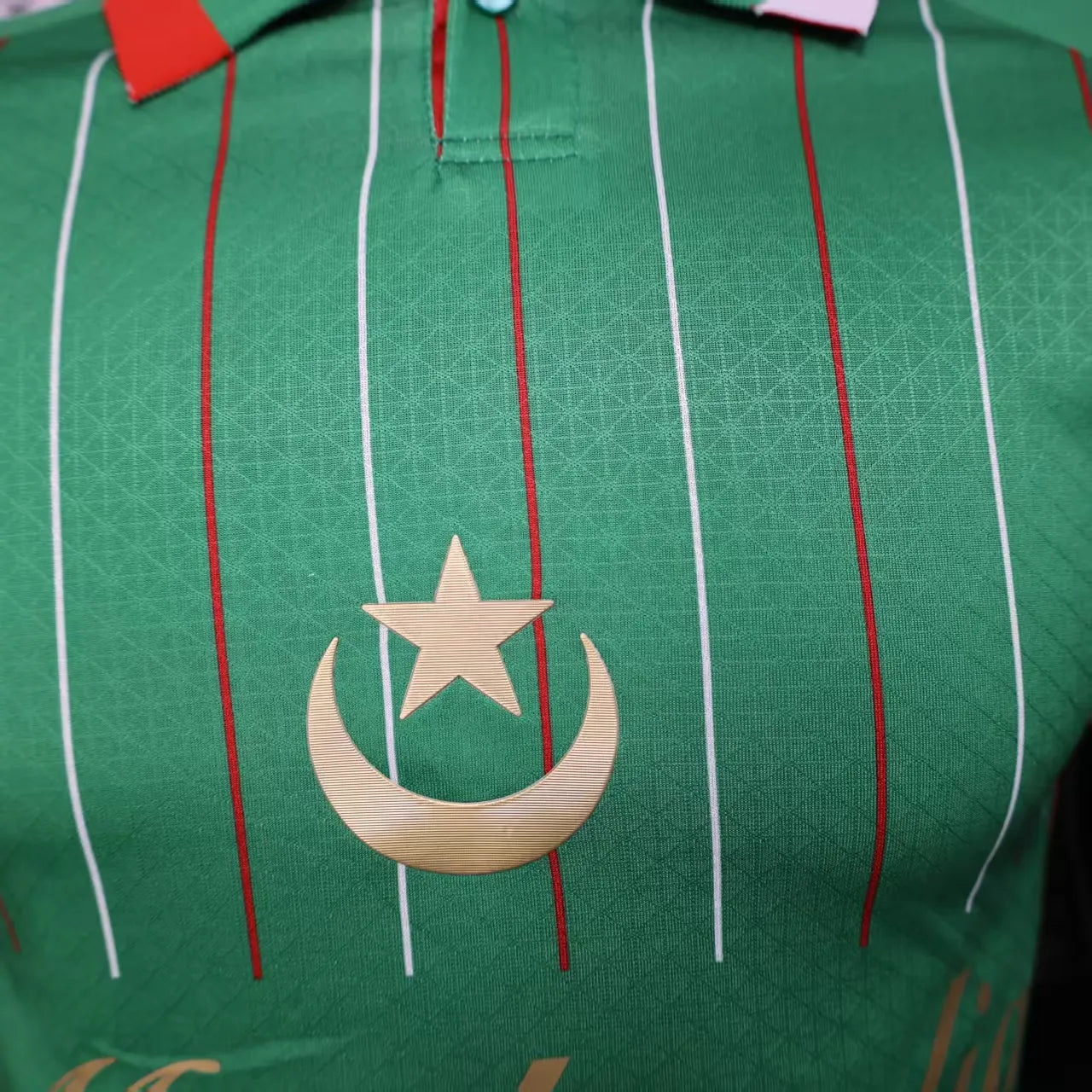 2025/2026 Player Version Palestine Special Edition Green