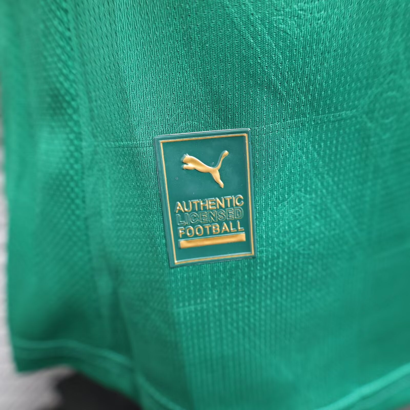 2025/2026 Player Version Palmeiras Green Home