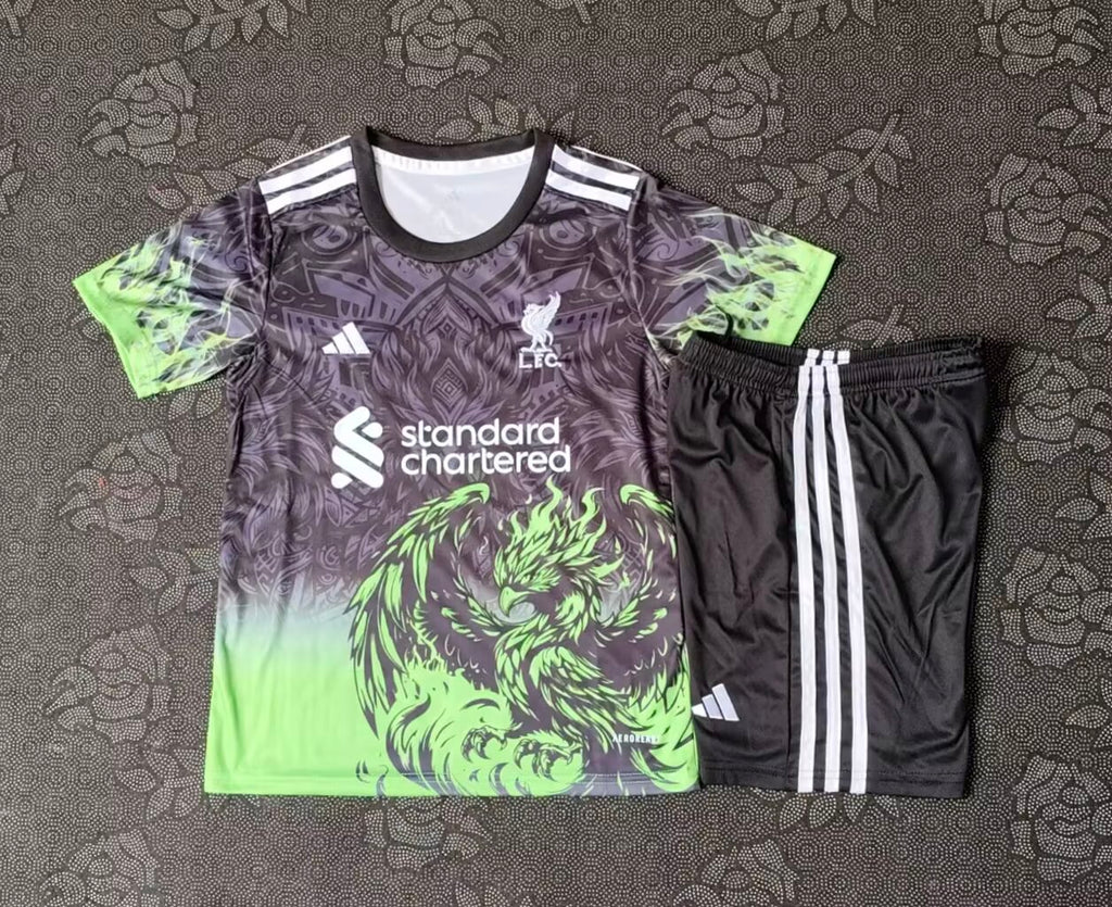 2025/2026 Liverpool Special Edition Gray and Green