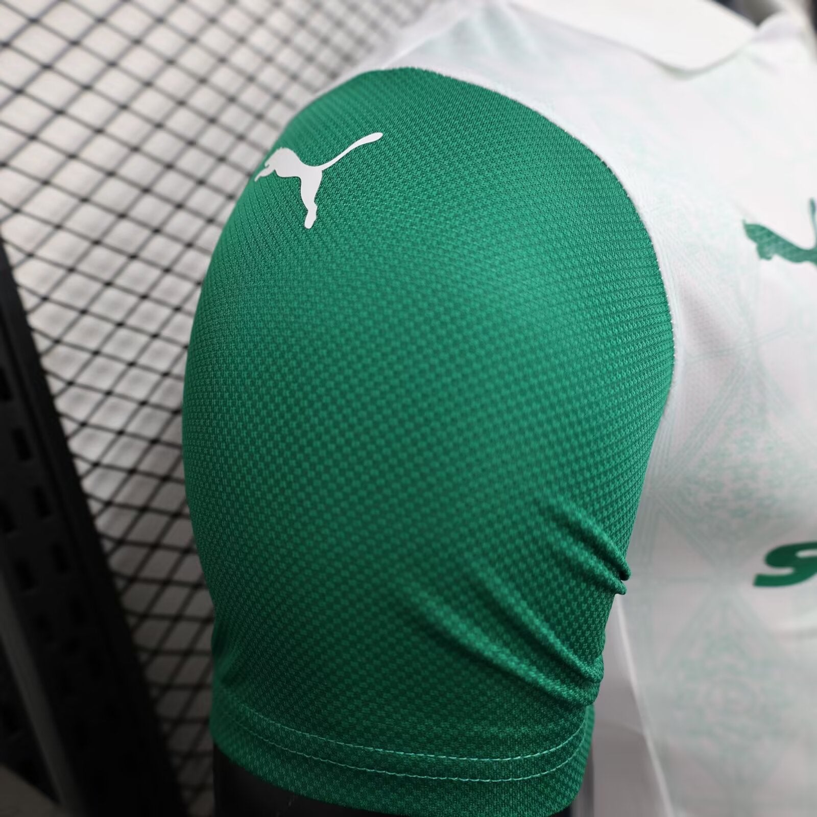 2025/2026 Player Version Palmeiras Away White Green