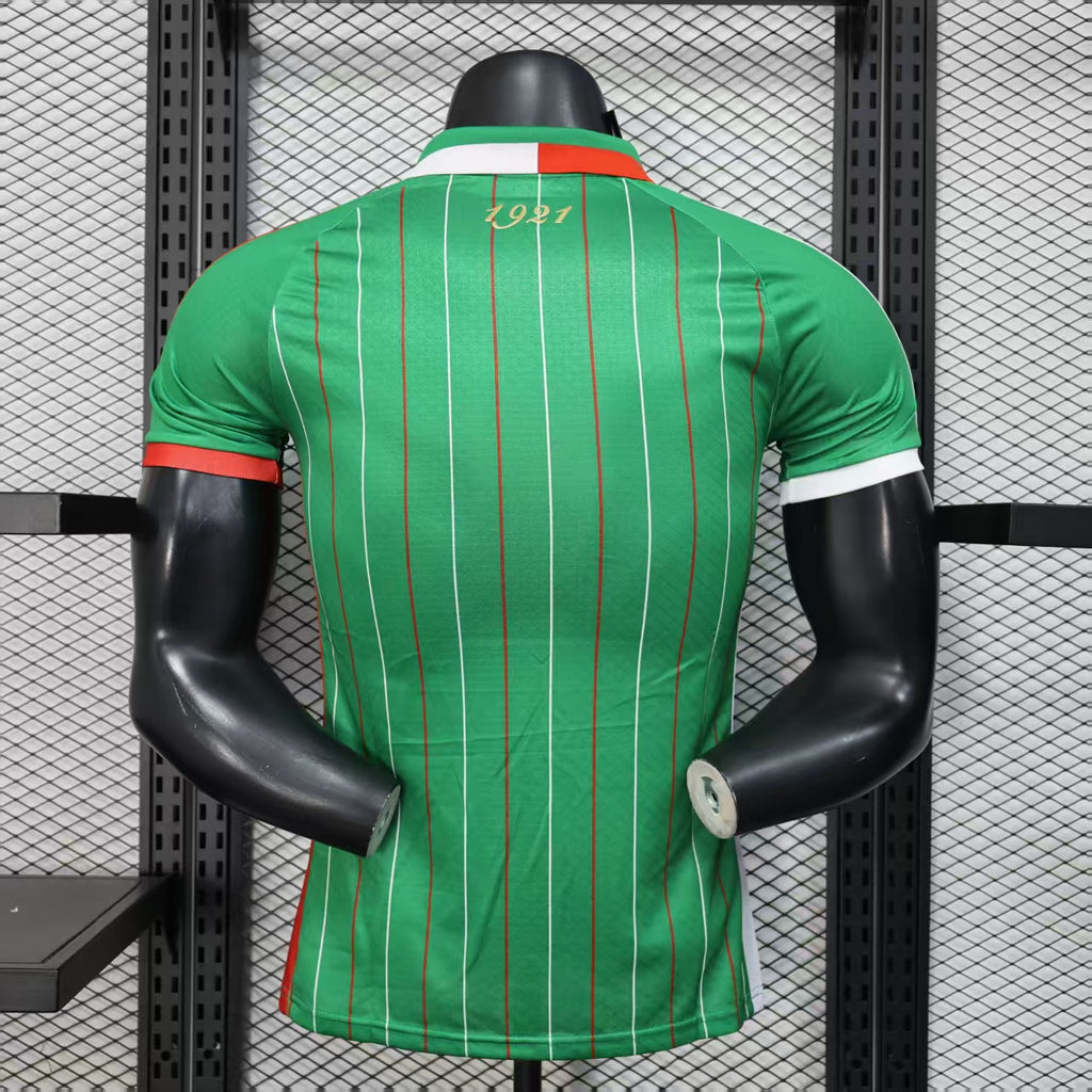 2025/2026 Player Version Palestine Special Edition Green
