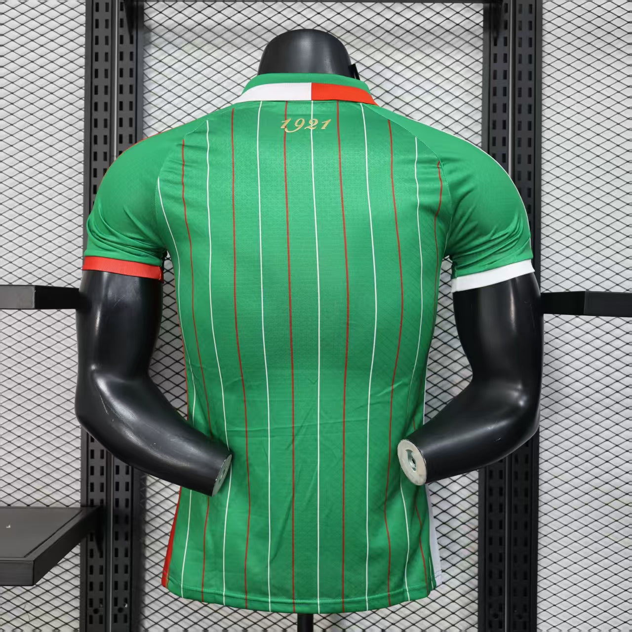 2025/2026 Player Version Palestine Special Edition Green