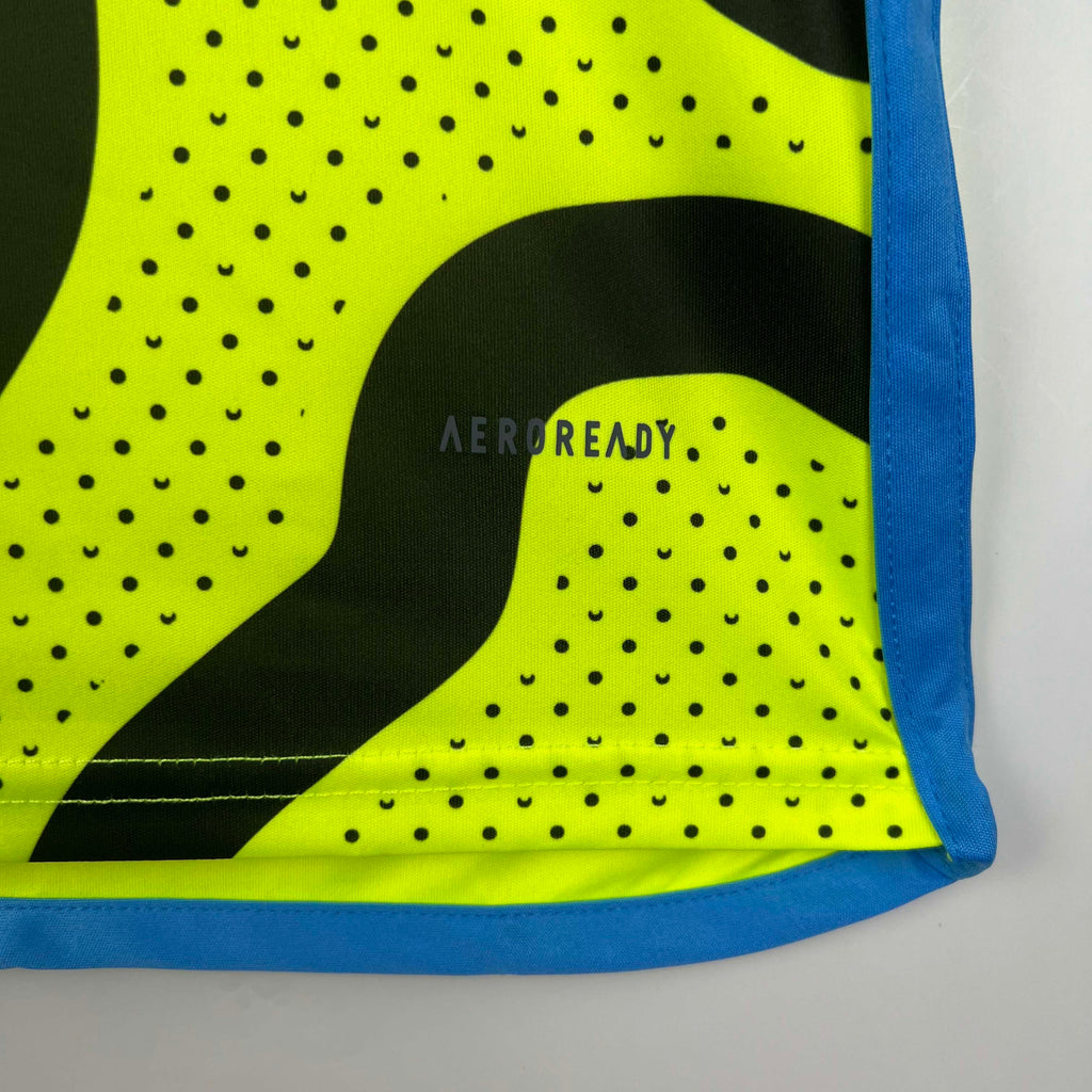 2023/2024 Arsenal Away