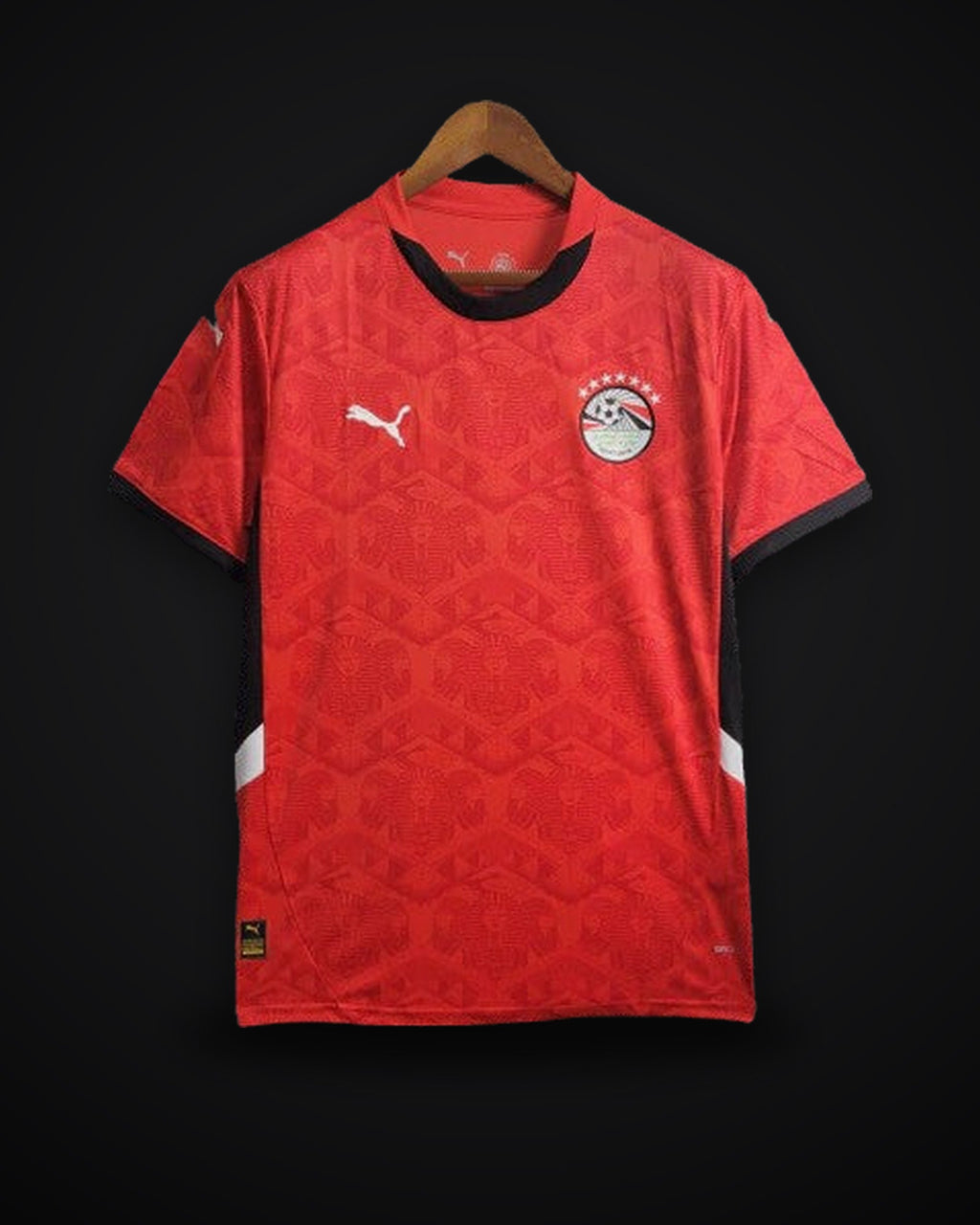 2025 Egypt Home