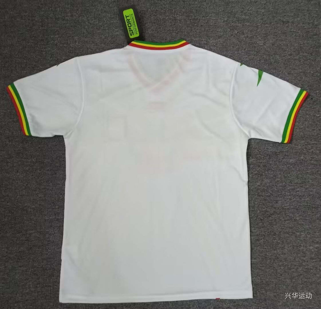 2024 Mali Africa Cup Home