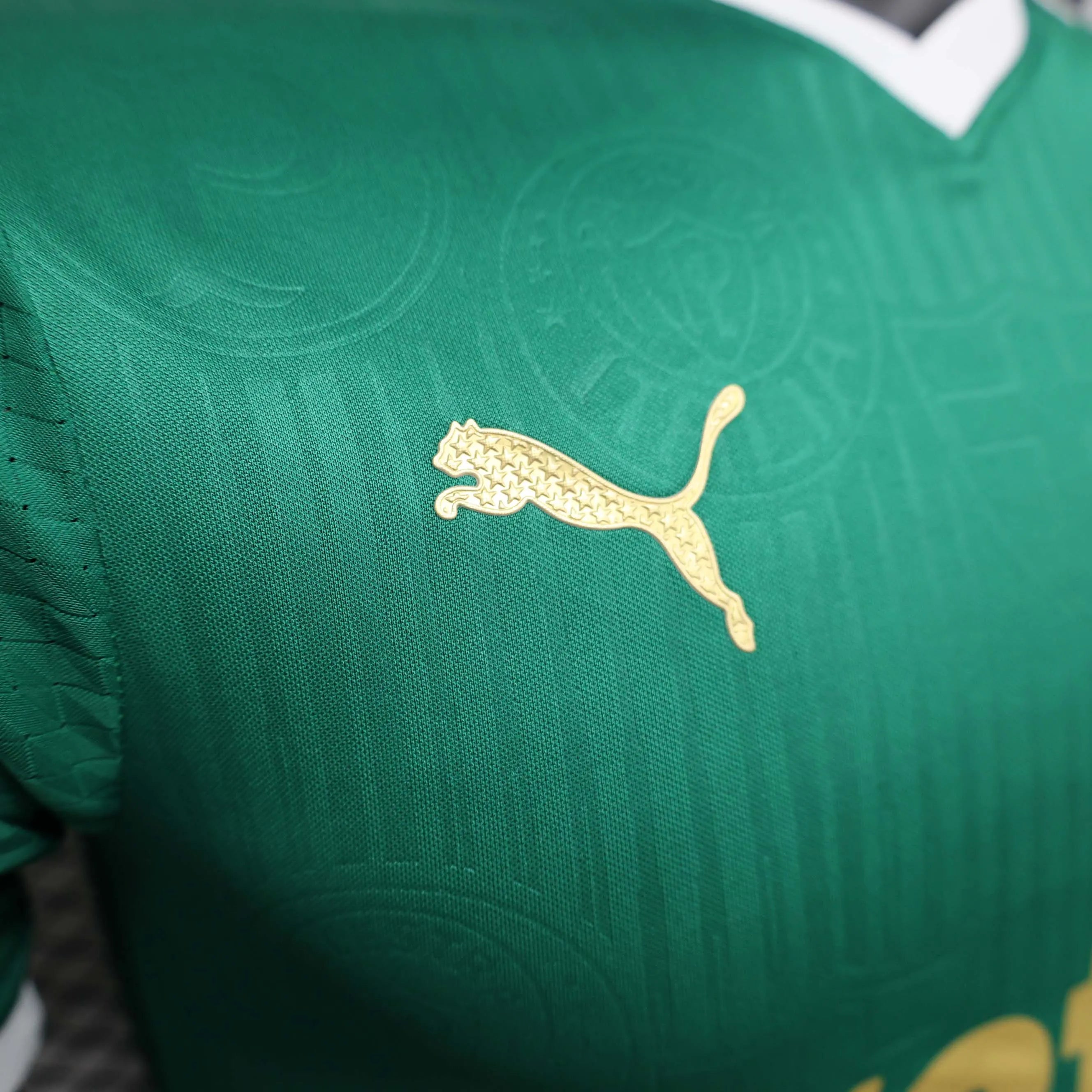 2024/2025 Player Version Palmeiras Home Jersey