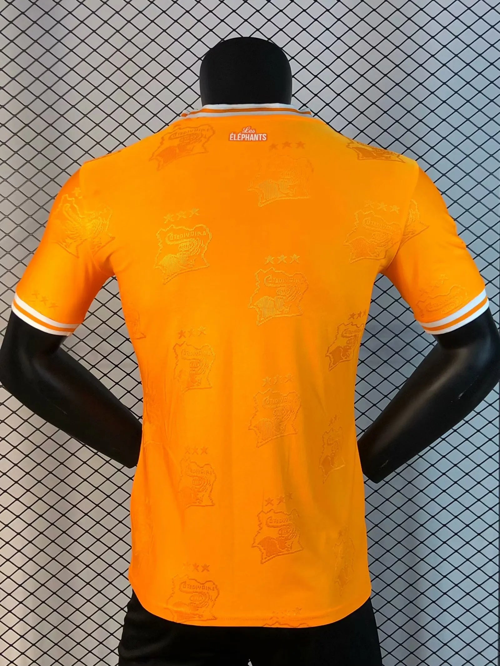 2025/2026 Player Version Lvory Coast National Team Home