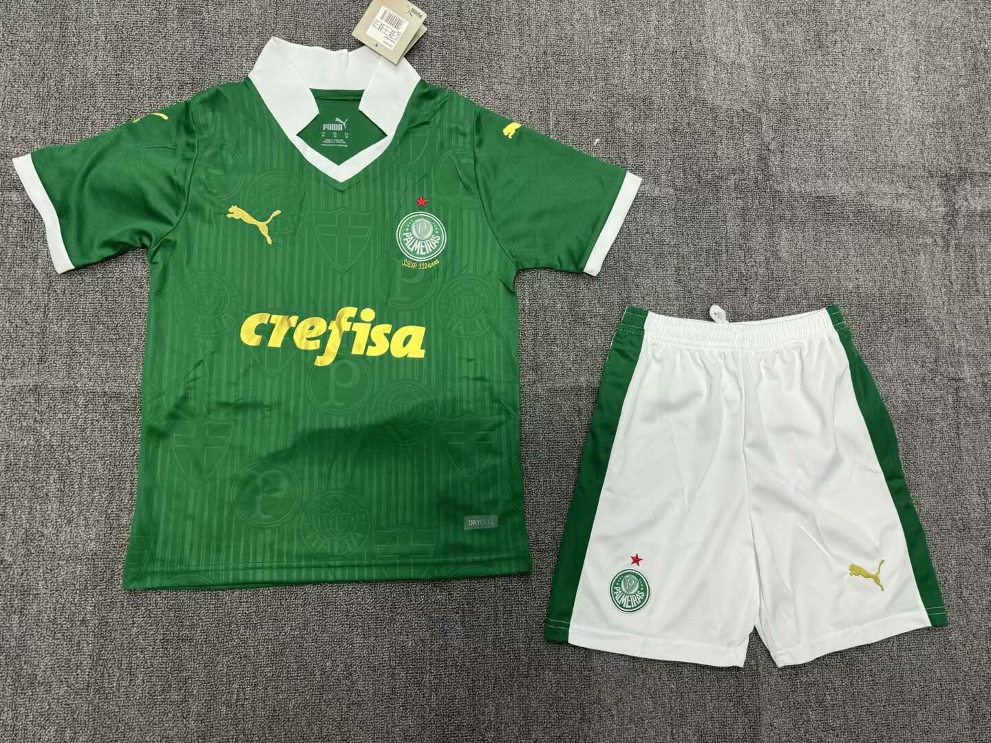 2024/2025 Palmeiras Home Jersey