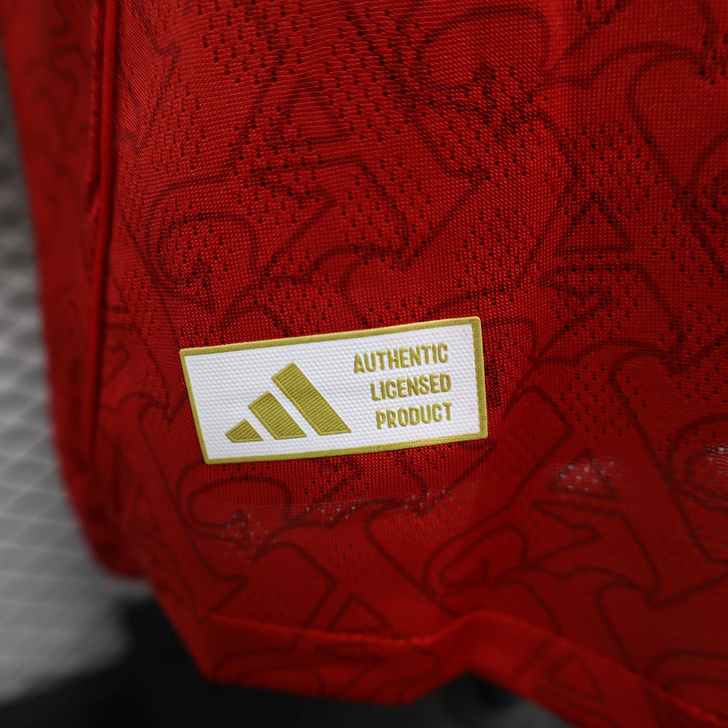 2025/2026 Long Sleeves Player Version Arsenal Home