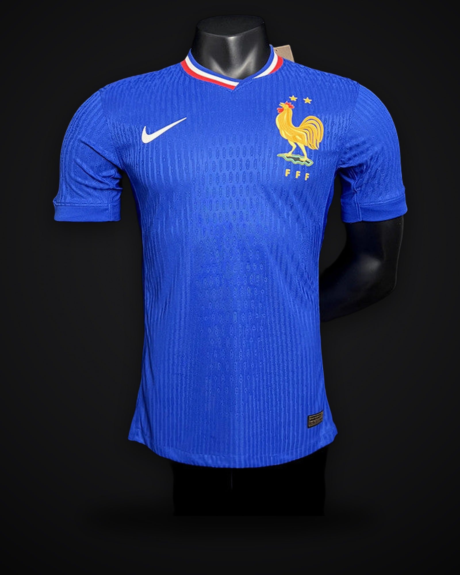 2024-2025 Player Version France Home