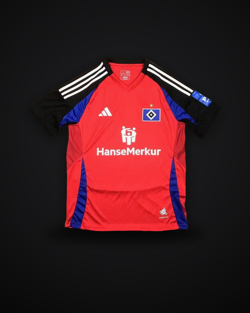 2024-2025 Hamburger SV Third Away