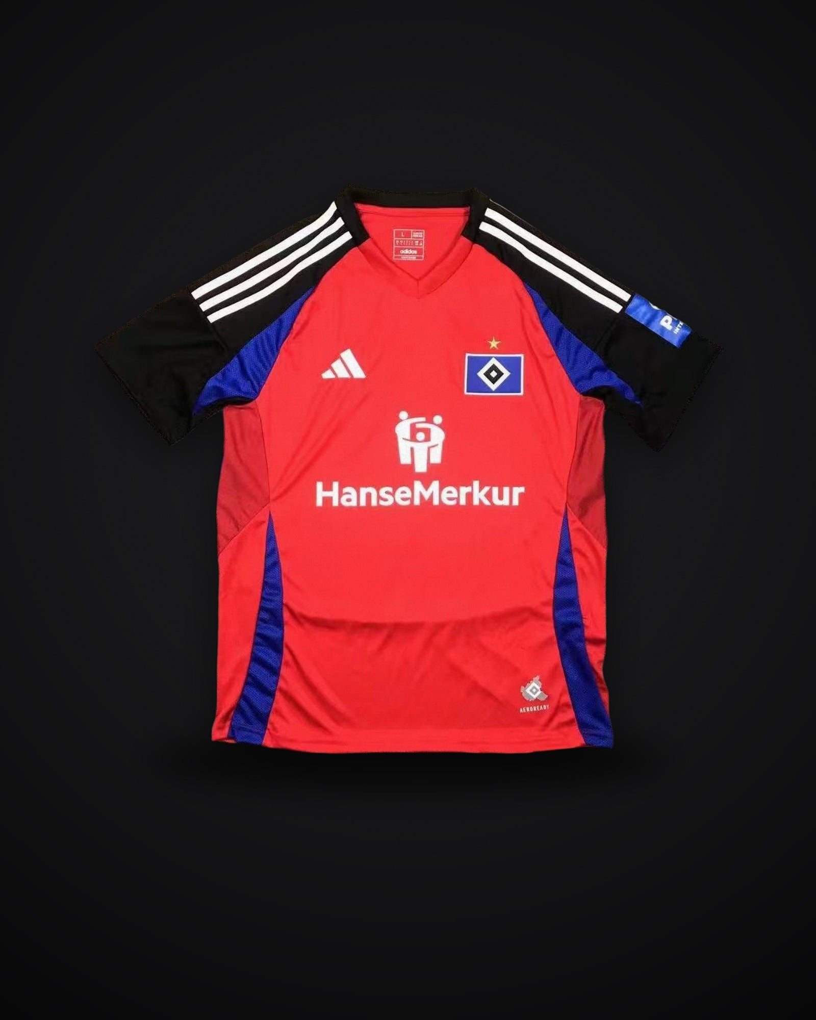 2024-2025 Hamburger SV Third Away