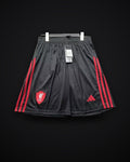 2025/2026 Liverpool Away Shorts