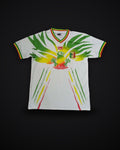 2024 Mali Africa Cup Home