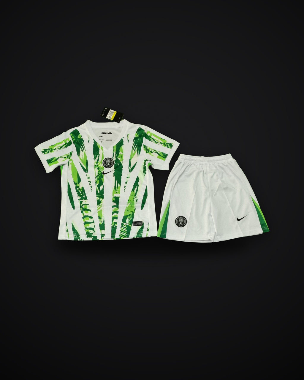 2025/2026 Nigeria National Team Home