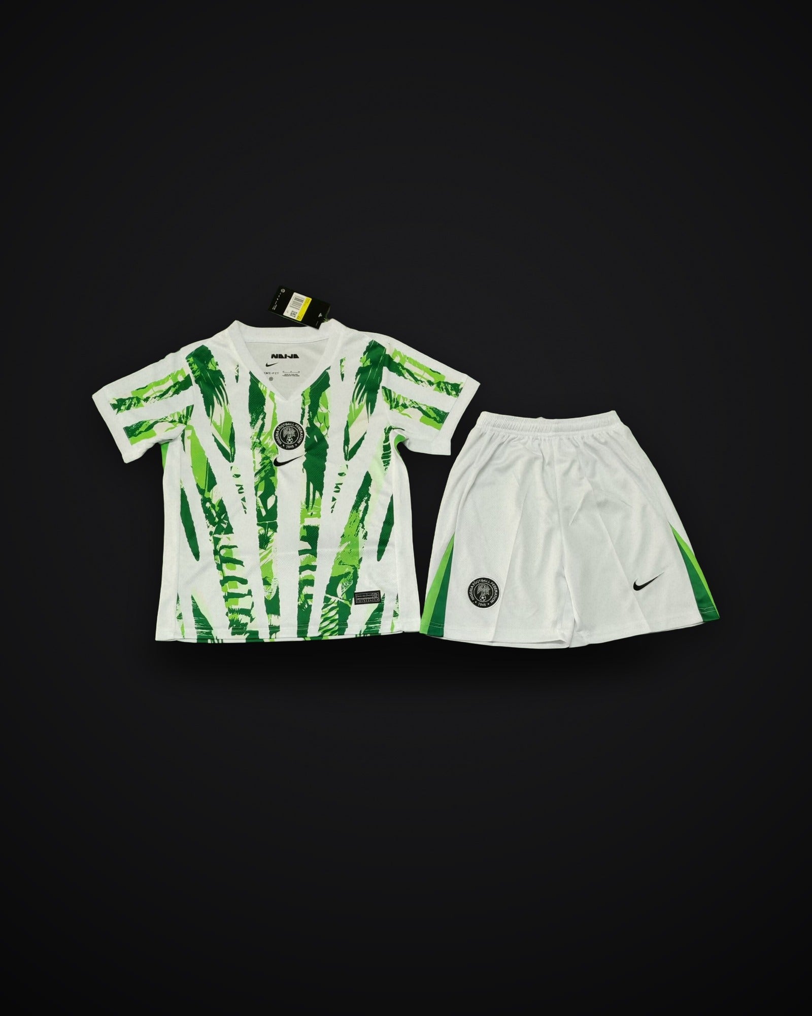 2025/2026 Nigeria National Team Home
