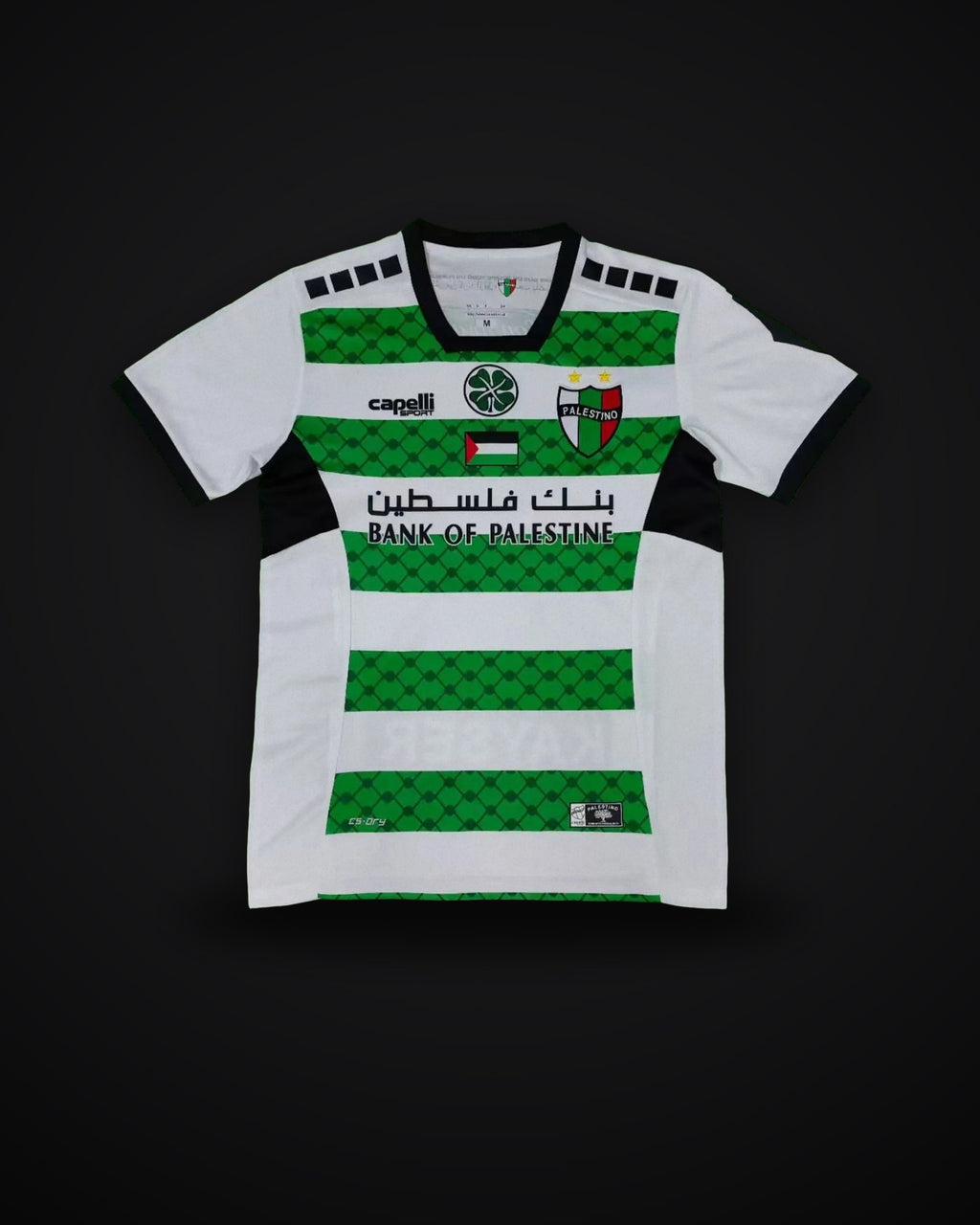 2024-2025 Palestine third away