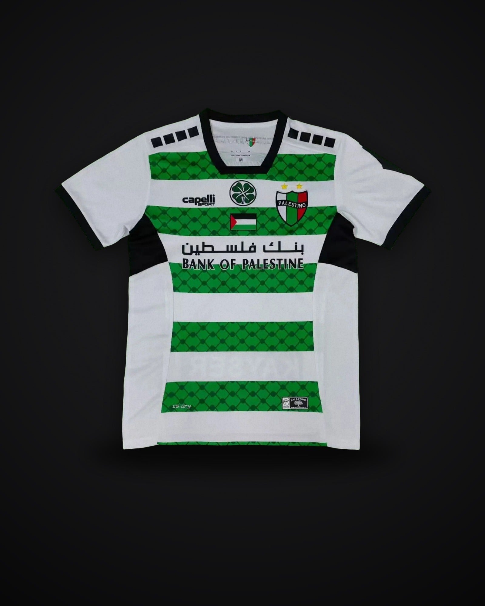 2024-2025 Palestine third away