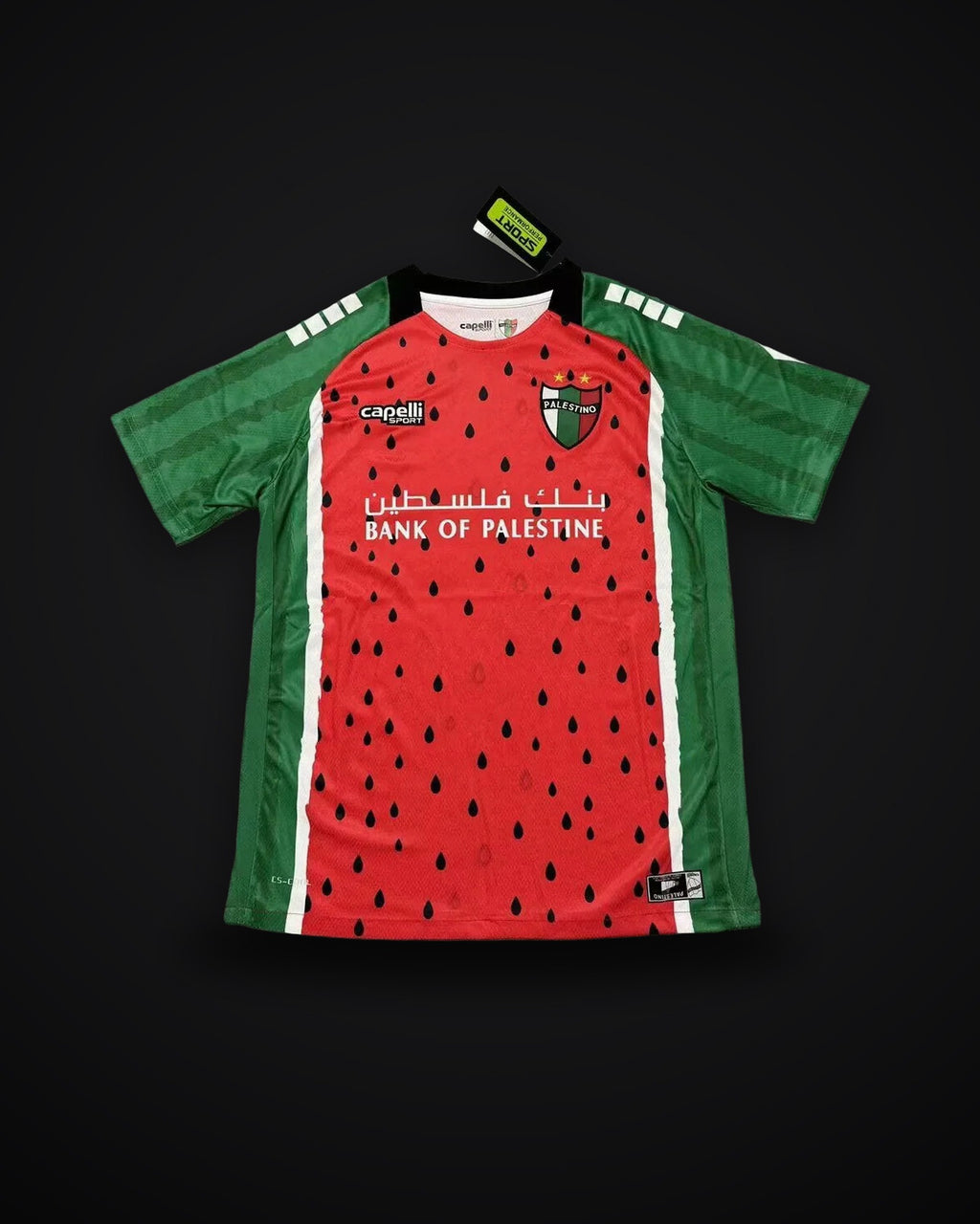 2025/2026 Palestine Third Away