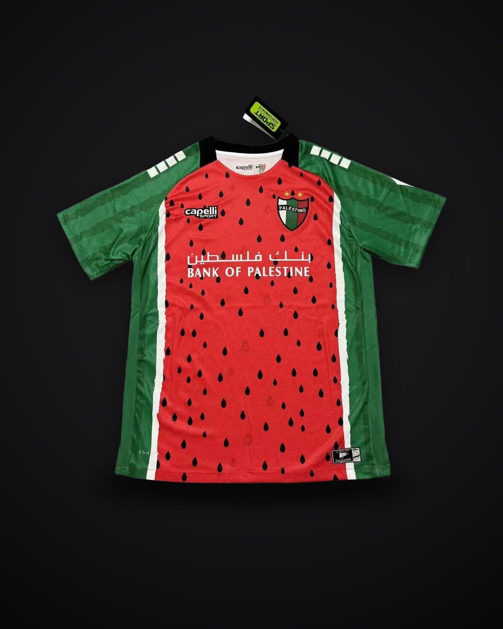 2025/2026 Palestine Third Away