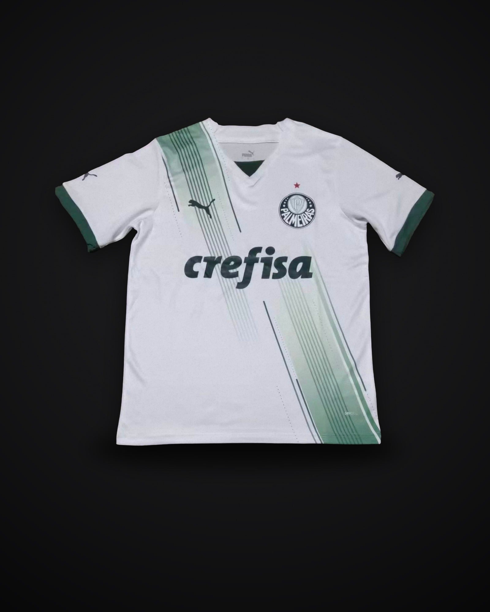 2023/2024 Palmeiras Away Jersey