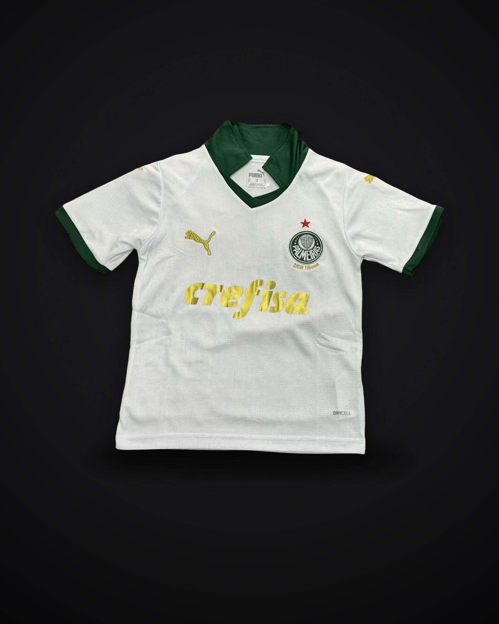 2024/2025 Palmeiras Away Jersey