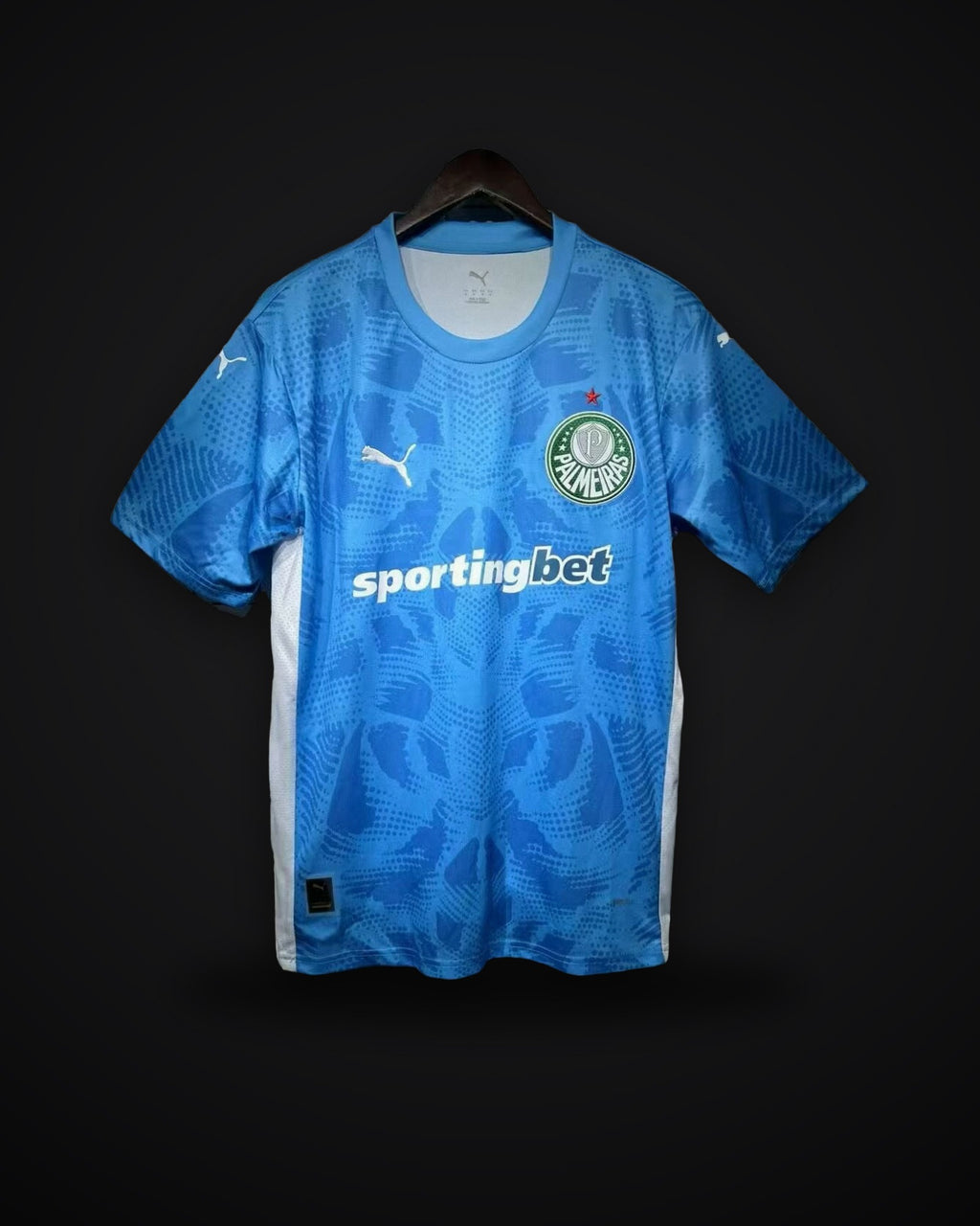 2025/2026 Palmeiras goalkeeper