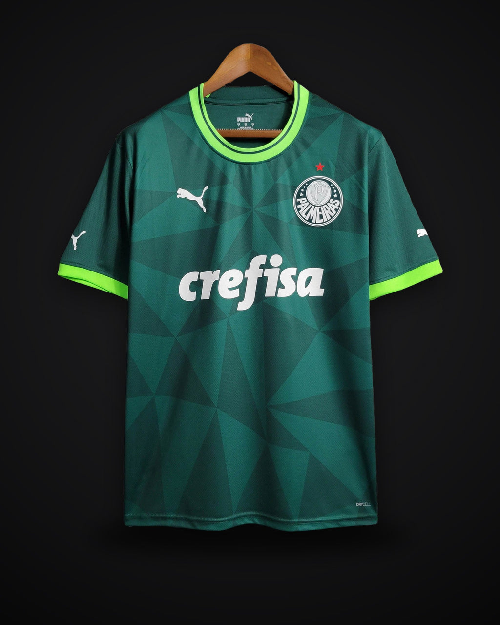 2023/2024 Palmeiras Home Jersey