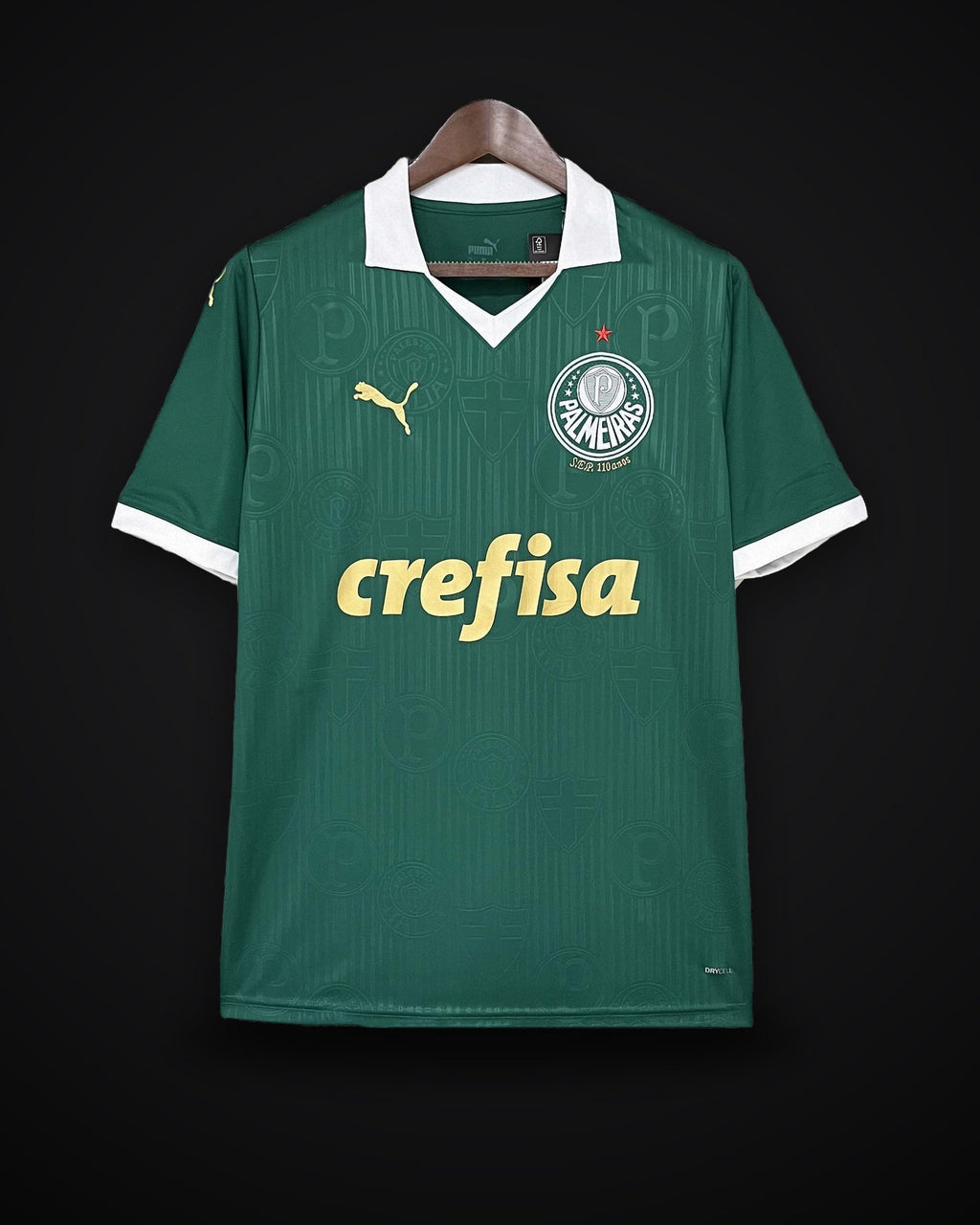 2024/2025 Palmeiras Home Jersey