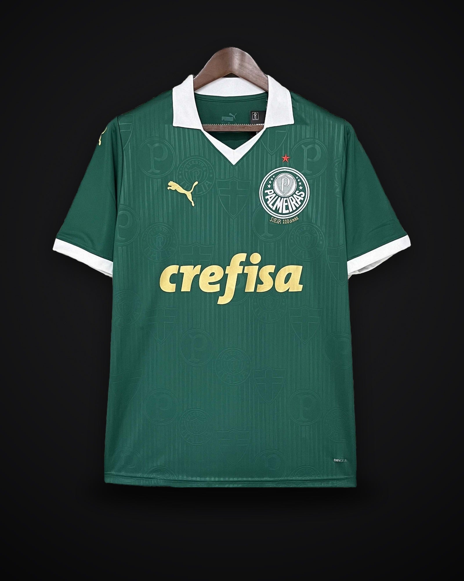 2024/2025 Palmeiras Home Jersey
