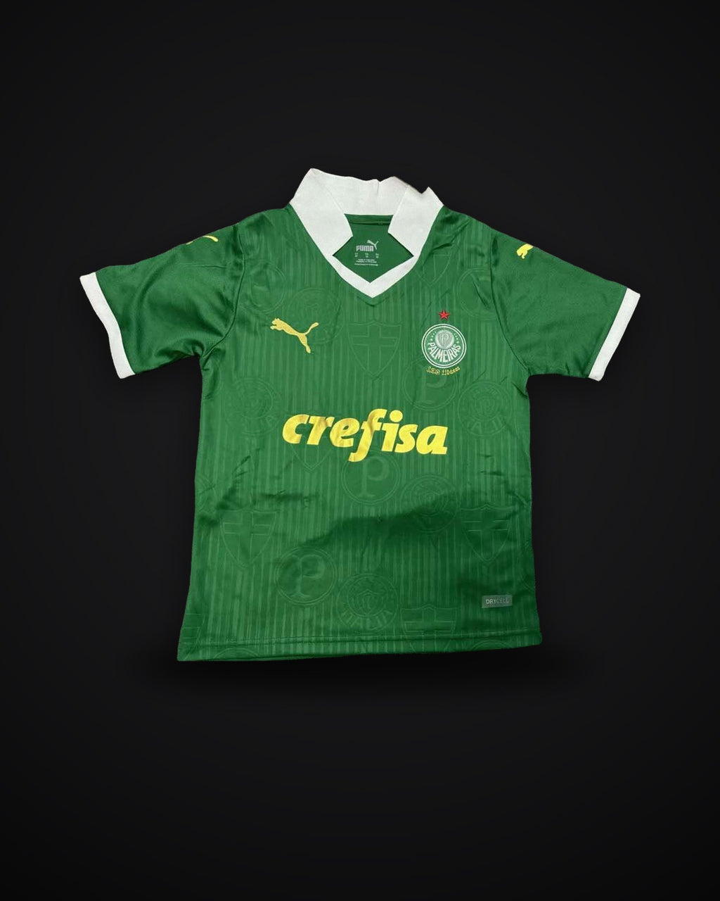 2024/2025 Palmeiras Home Jersey