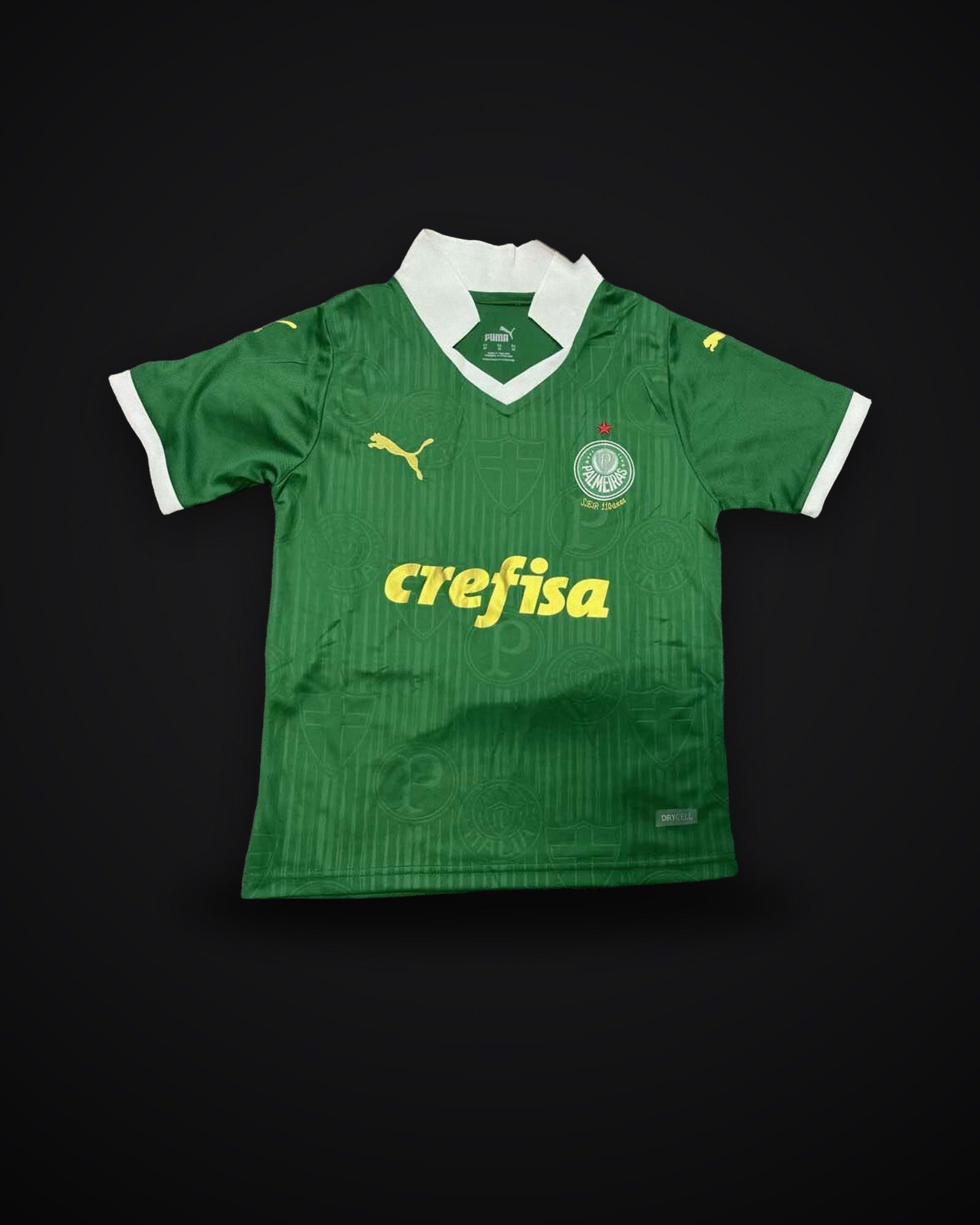 2024/2025 Palmeiras Home Jersey