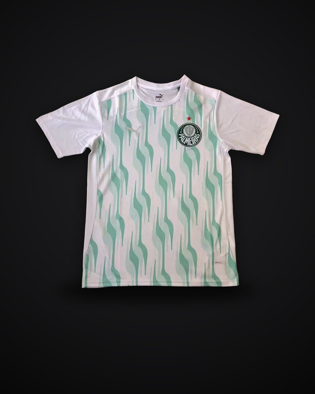 2025/2026 Palmeiras Training clothes