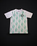 2025/2026 Palmeiras Training clothes