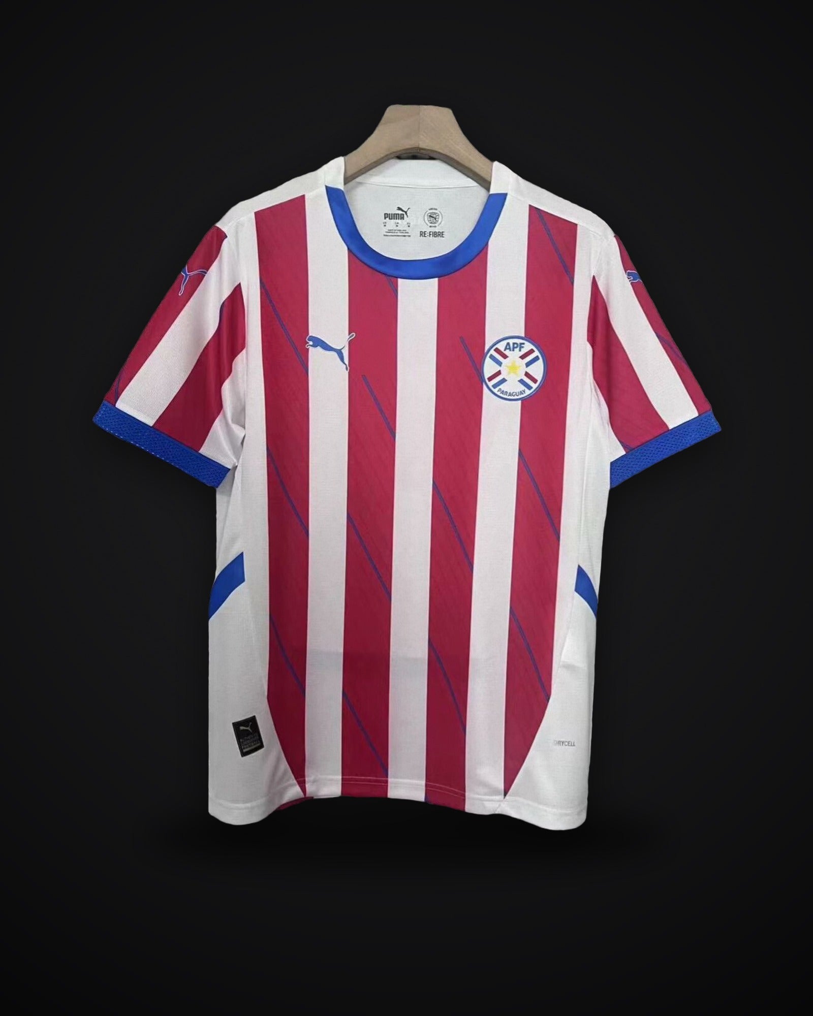 2025/2026 Paraguay National Team Home