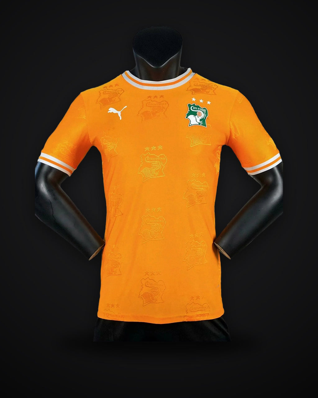 2025/2026 Player Version Lvory Coast National Team Home