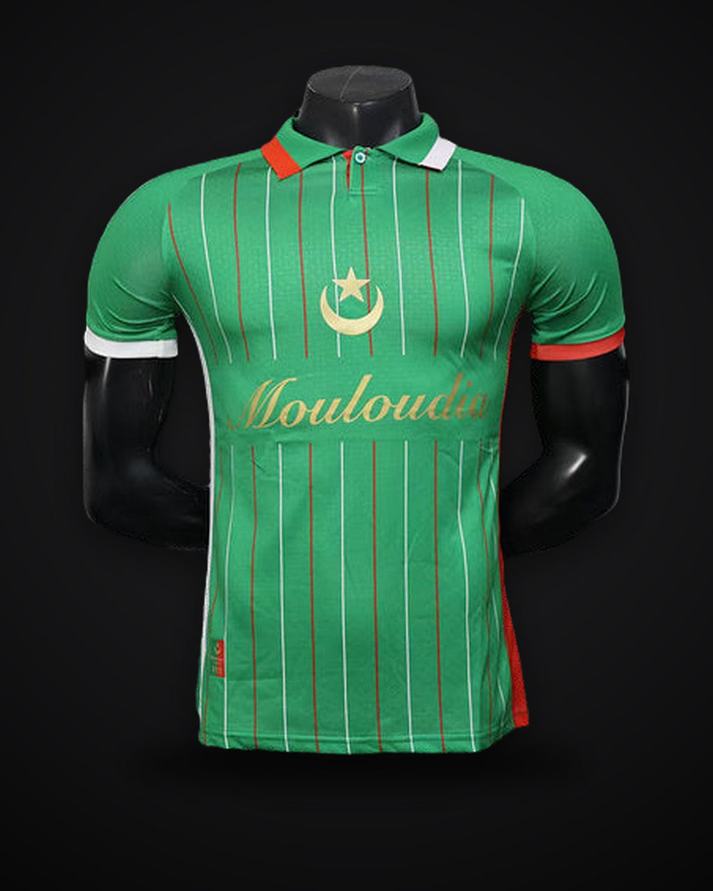 2025/2026 Player Version Palestine Special Edition Green