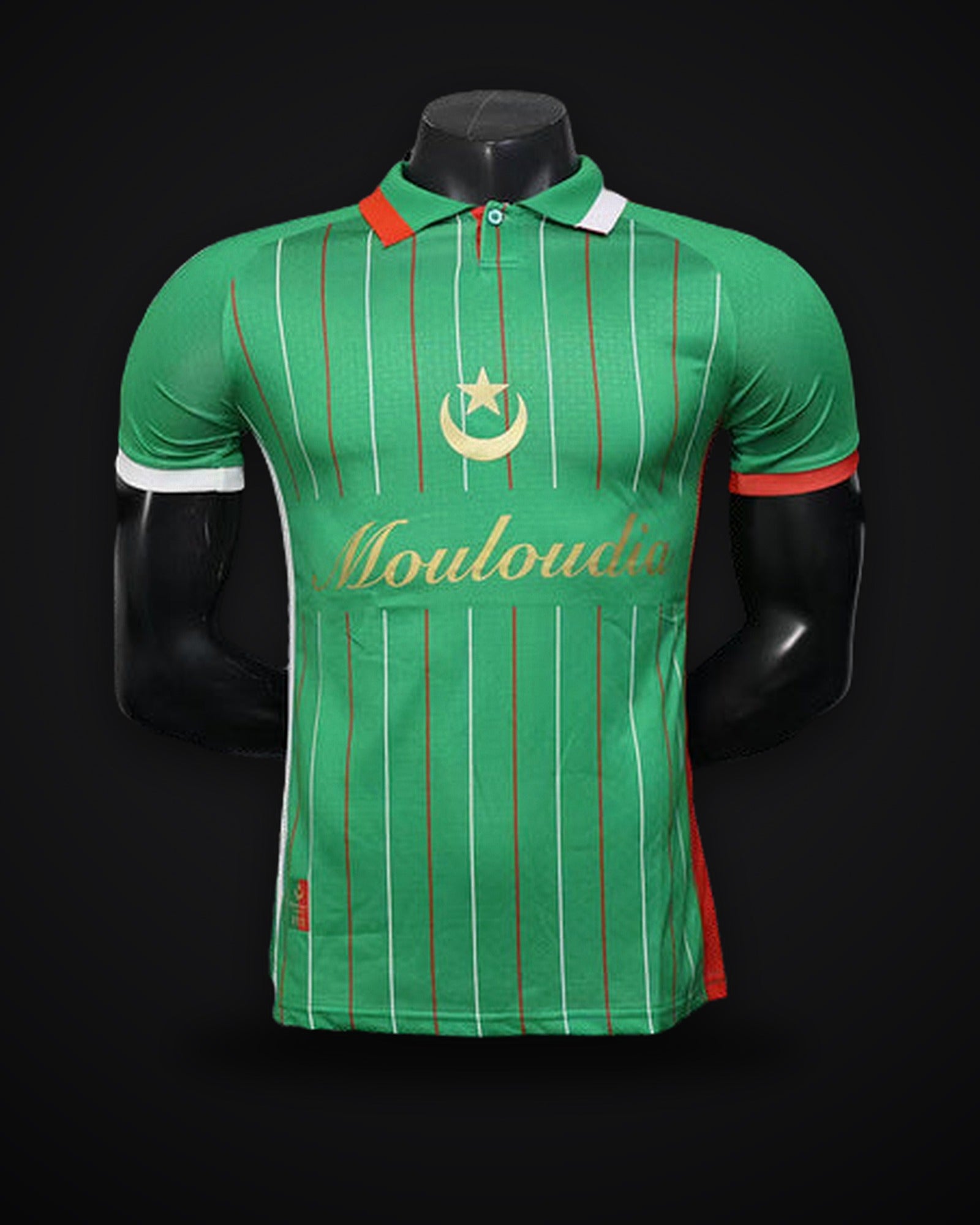 2025/2026 Player Version Palestine Special Edition Green