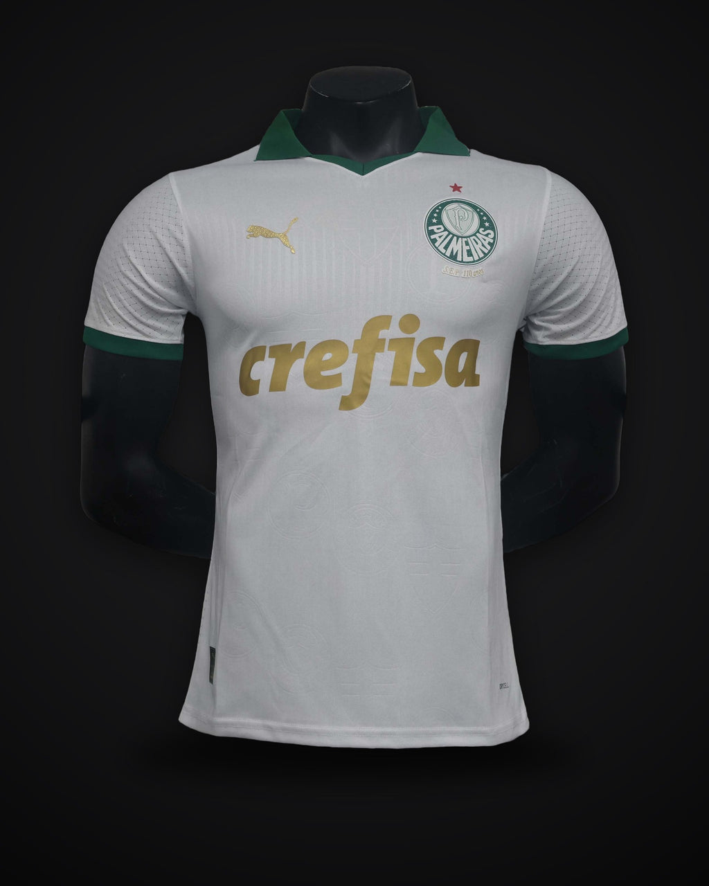 2024/2025 Player Version Palmeiras Away Jersey