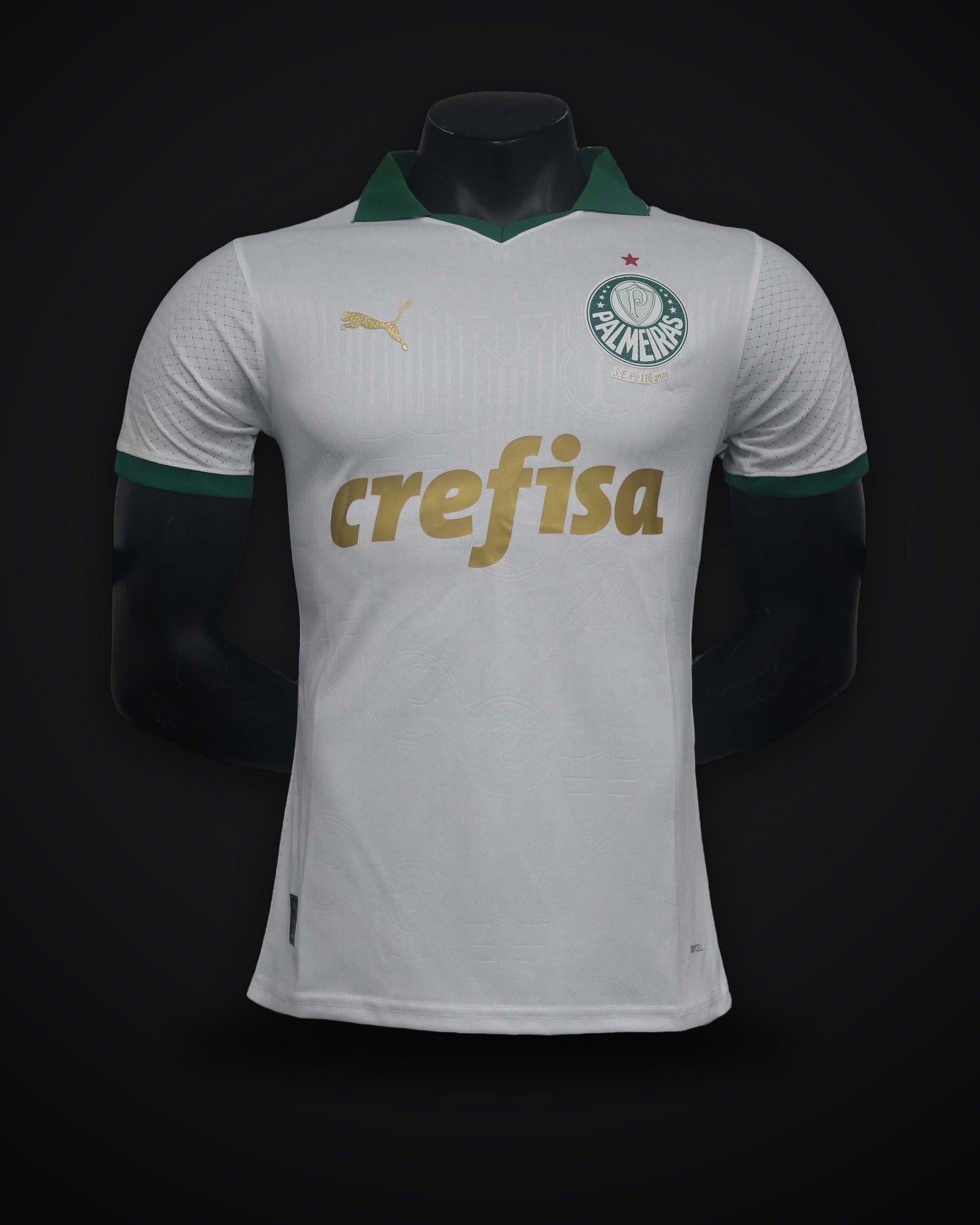 2024/2025 Player Version Palmeiras Away Jersey