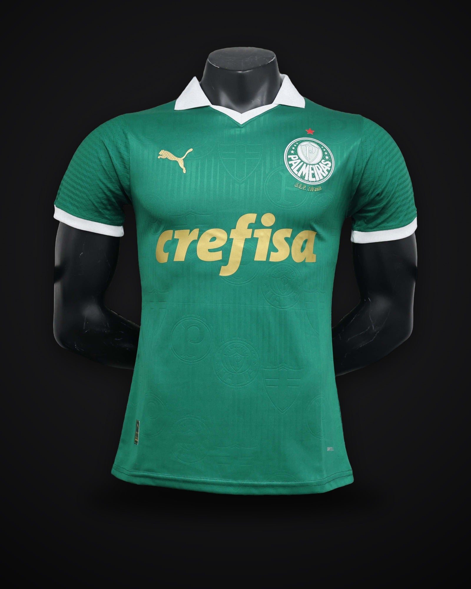 2024/2025 Player Version Palmeiras Home Jersey