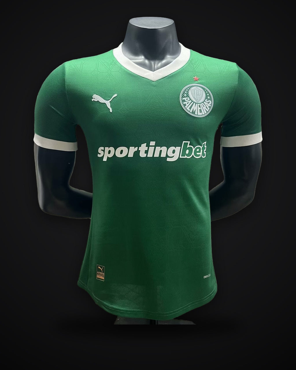 2025/2026 Player Version Palmeiras Home