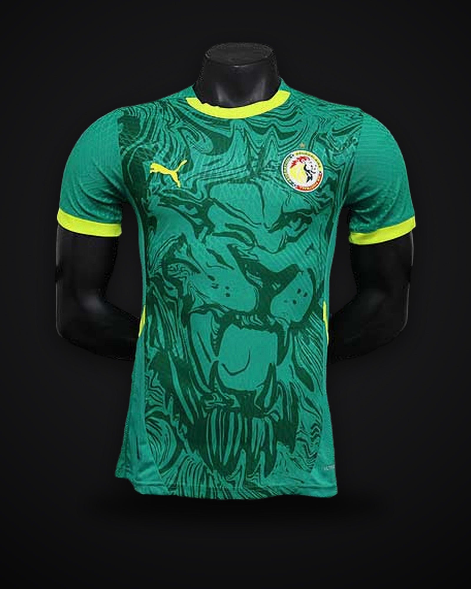 2025/2026 Player Version Senegal National Team Away
